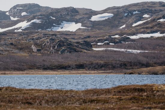 Russia Environment Kola Bay