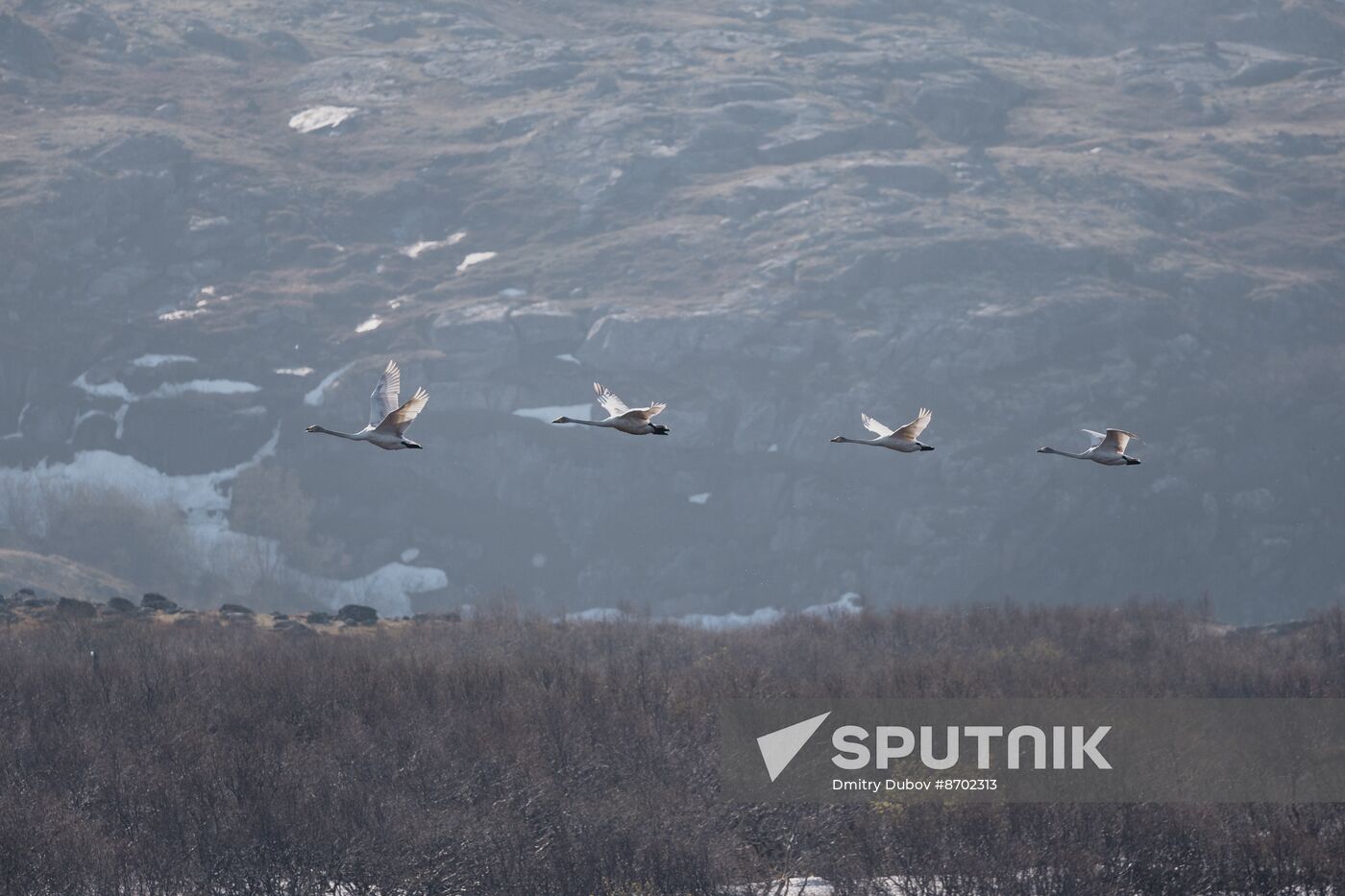 Russia Environment Kola Bay