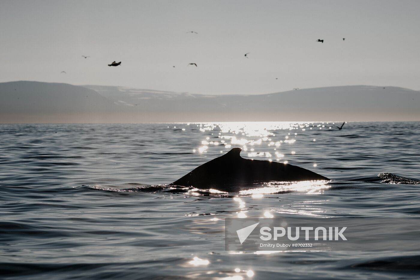 Russia Environment Kola Bay