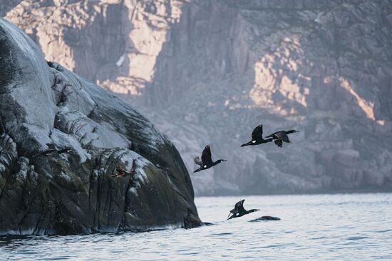 Russia Environment Kola Bay