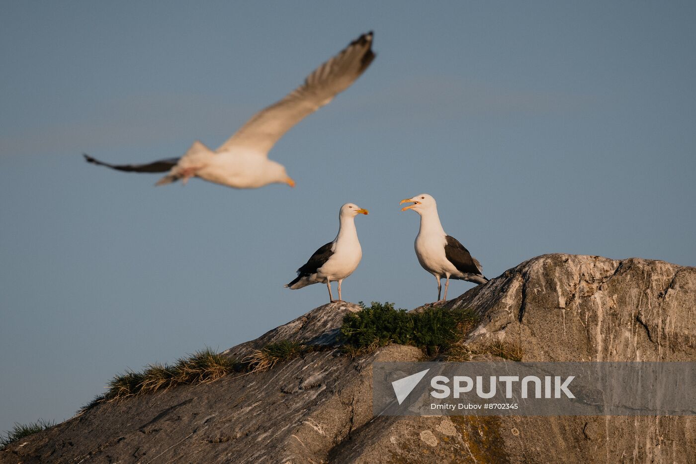 Russia Environment Kola Bay