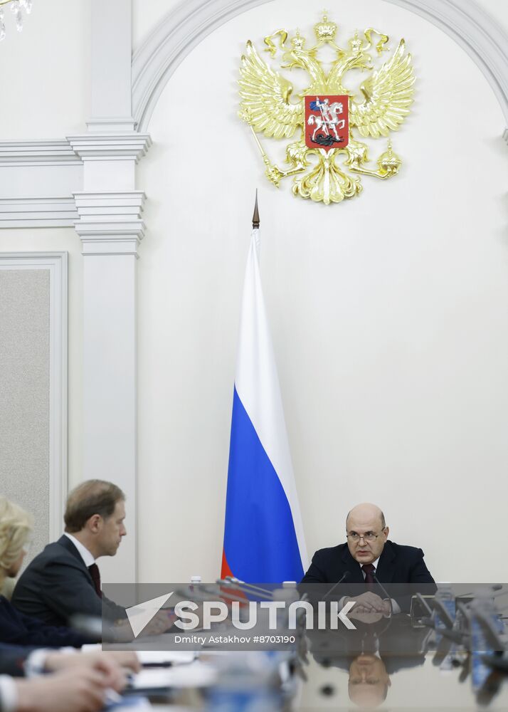 Russia Mishustin Deputies