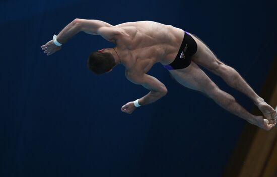 Russia Diving Championships Men 10m Platform