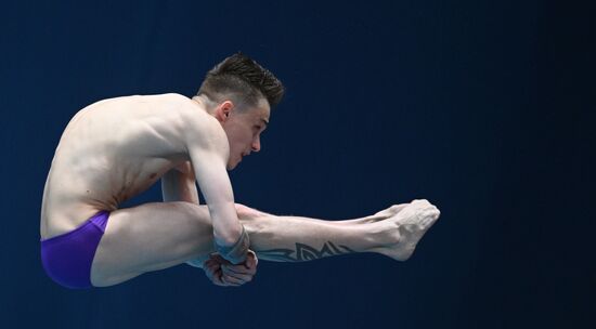 Russia Diving Championships Men 10m Platform