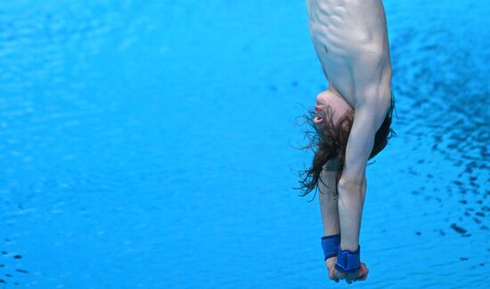 Russia Diving Championships Men 10m Platform