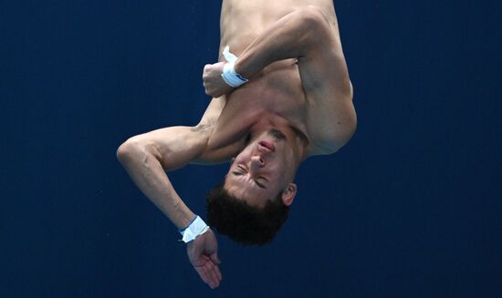 Russia Diving Championships Men 10m Platform