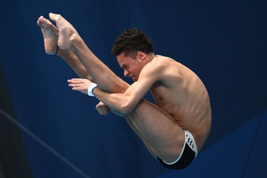 Russia Diving Championships Men 10m Platform