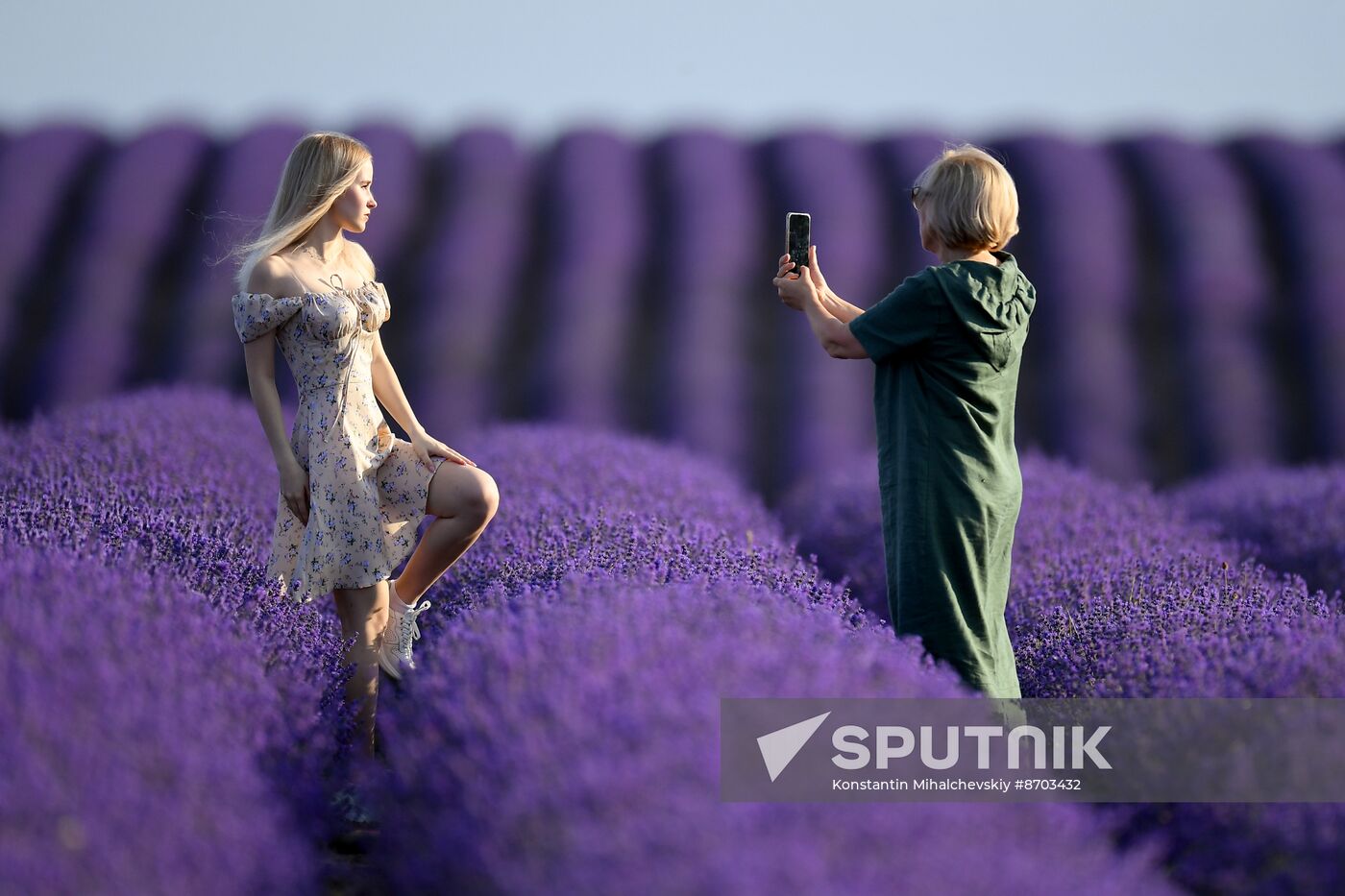 Russia Environment Lavender Fields