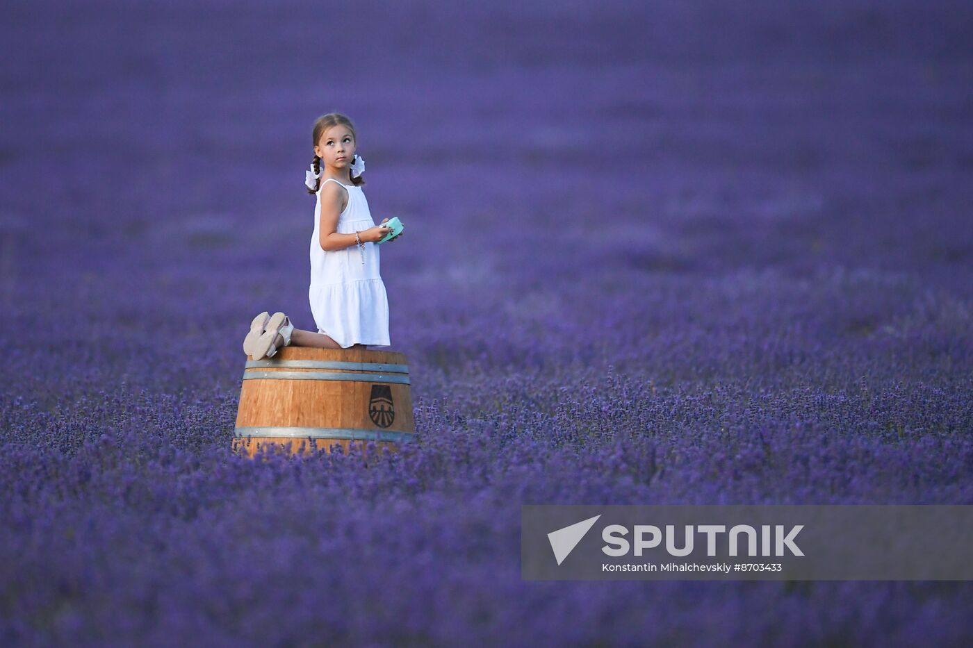 Russia Environment Lavender Fields