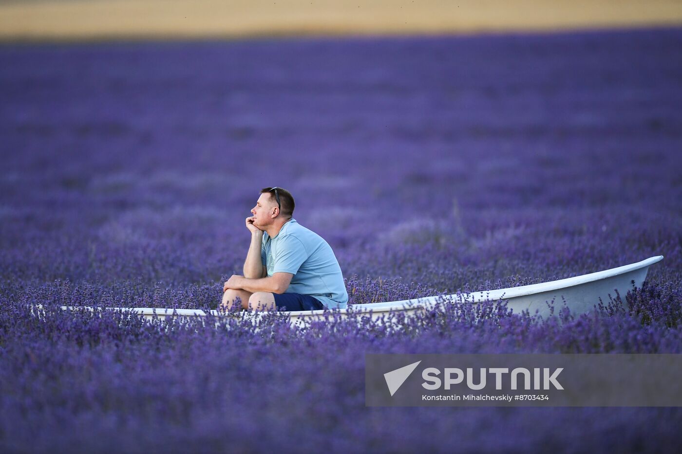 Russia Environment Lavender Fields