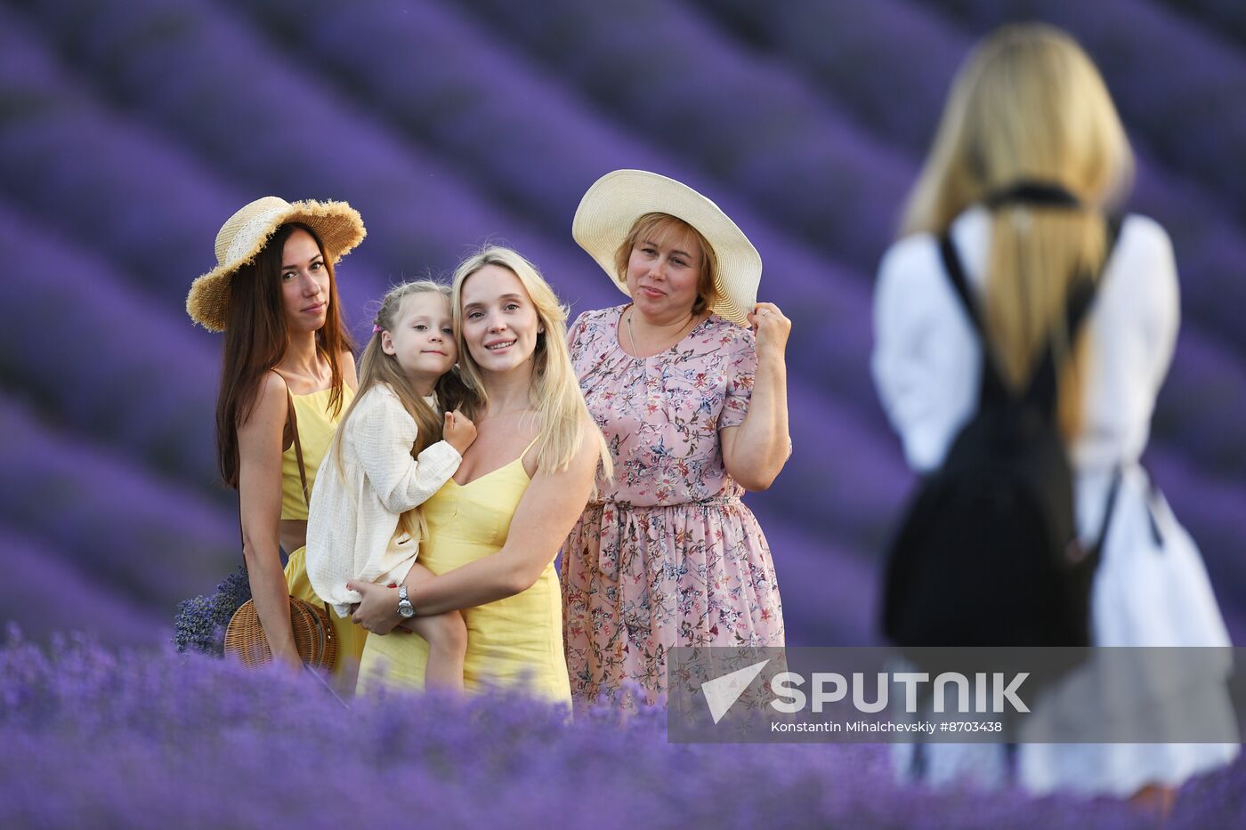 Russia Environment Lavender Fields