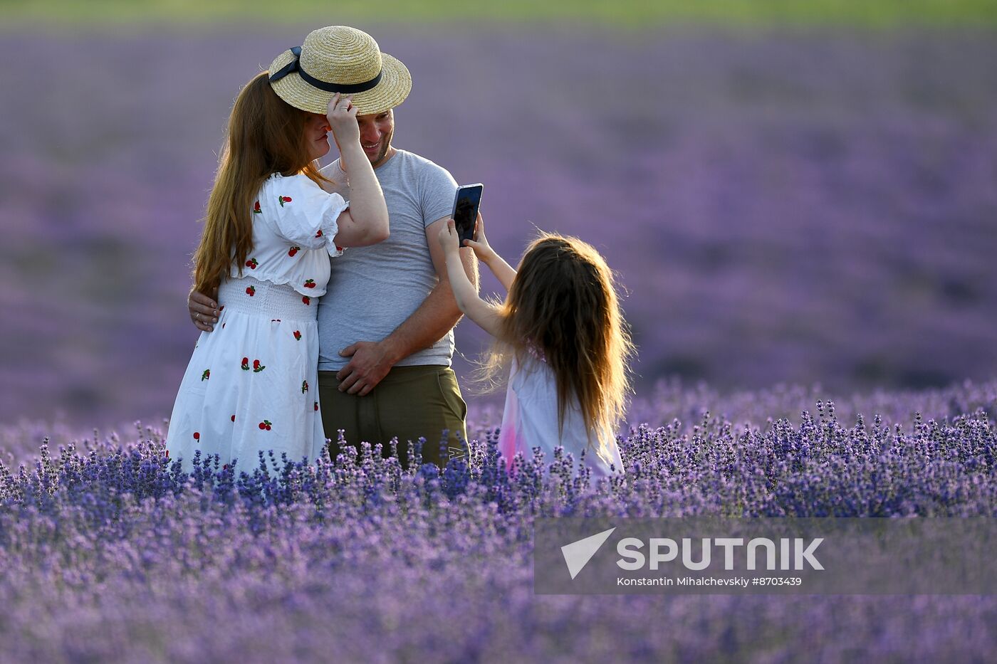 Russia Environment Lavender Fields
