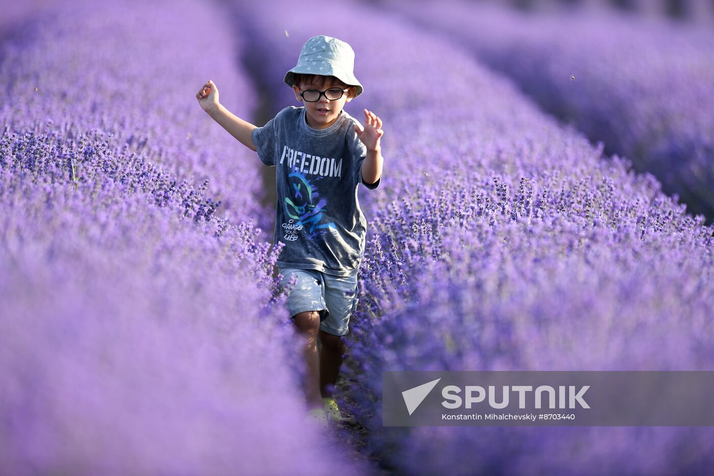 Russia Environment Lavender Fields
