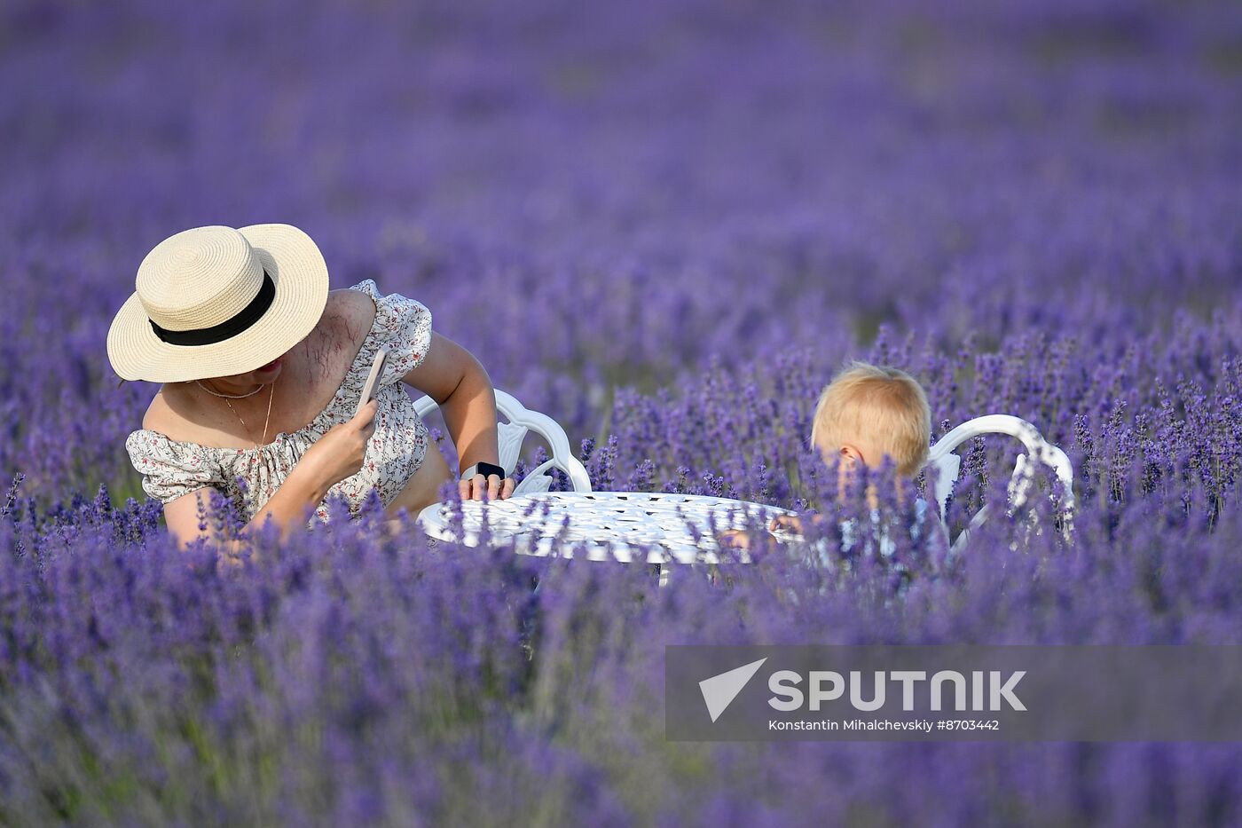 Russia Environment Lavender Fields
