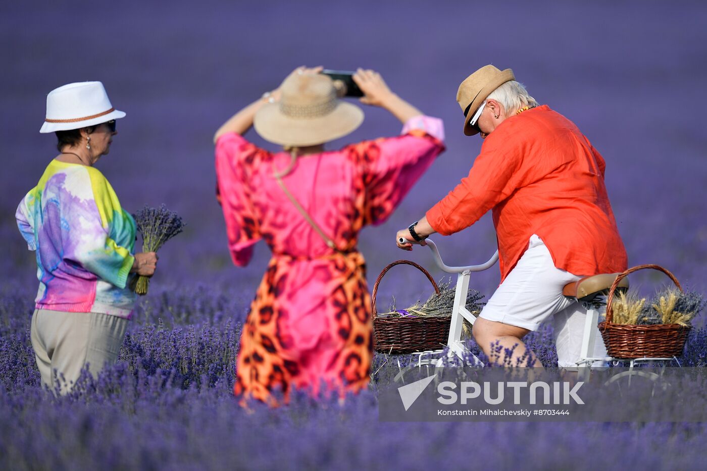 Russia Environment Lavender Fields