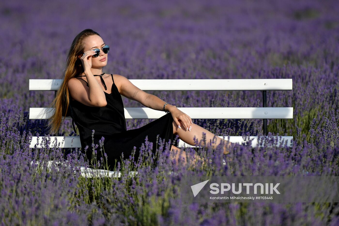 Russia Environment Lavender Fields