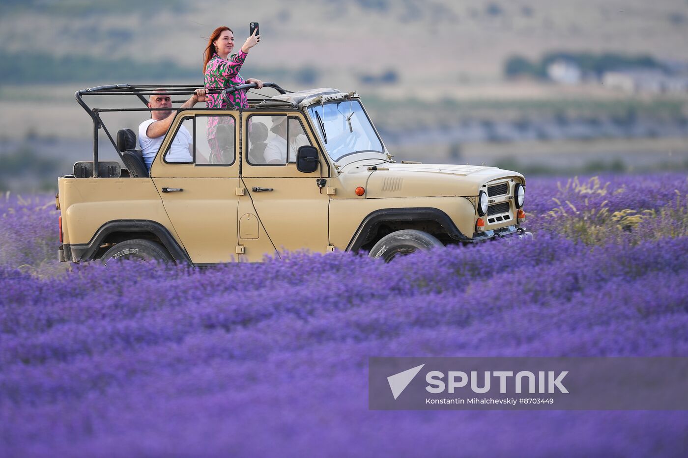 Russia Environment Lavender Fields