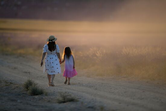 Russia Environment Lavender Fields