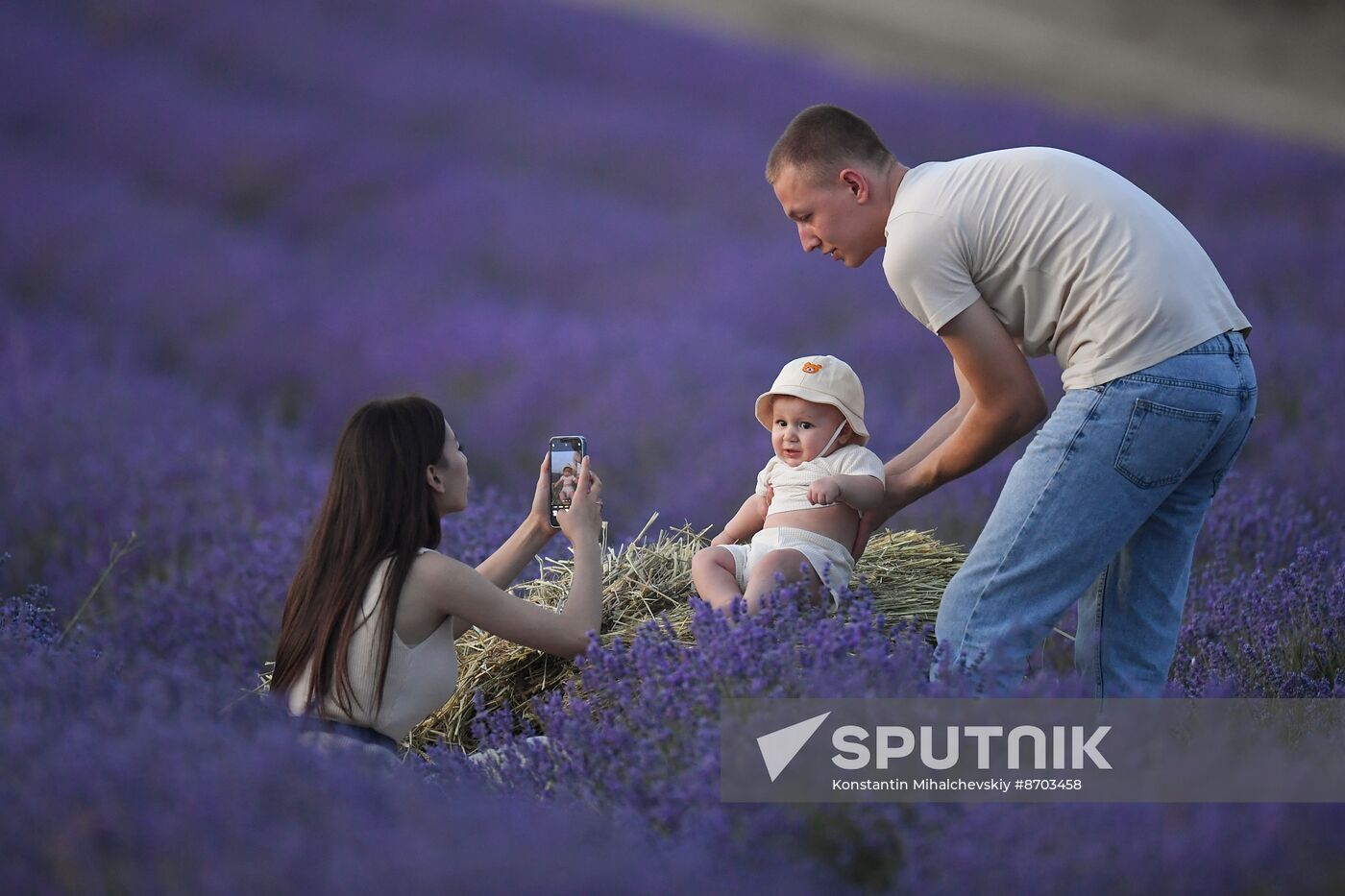 Russia Environment Lavender Fields