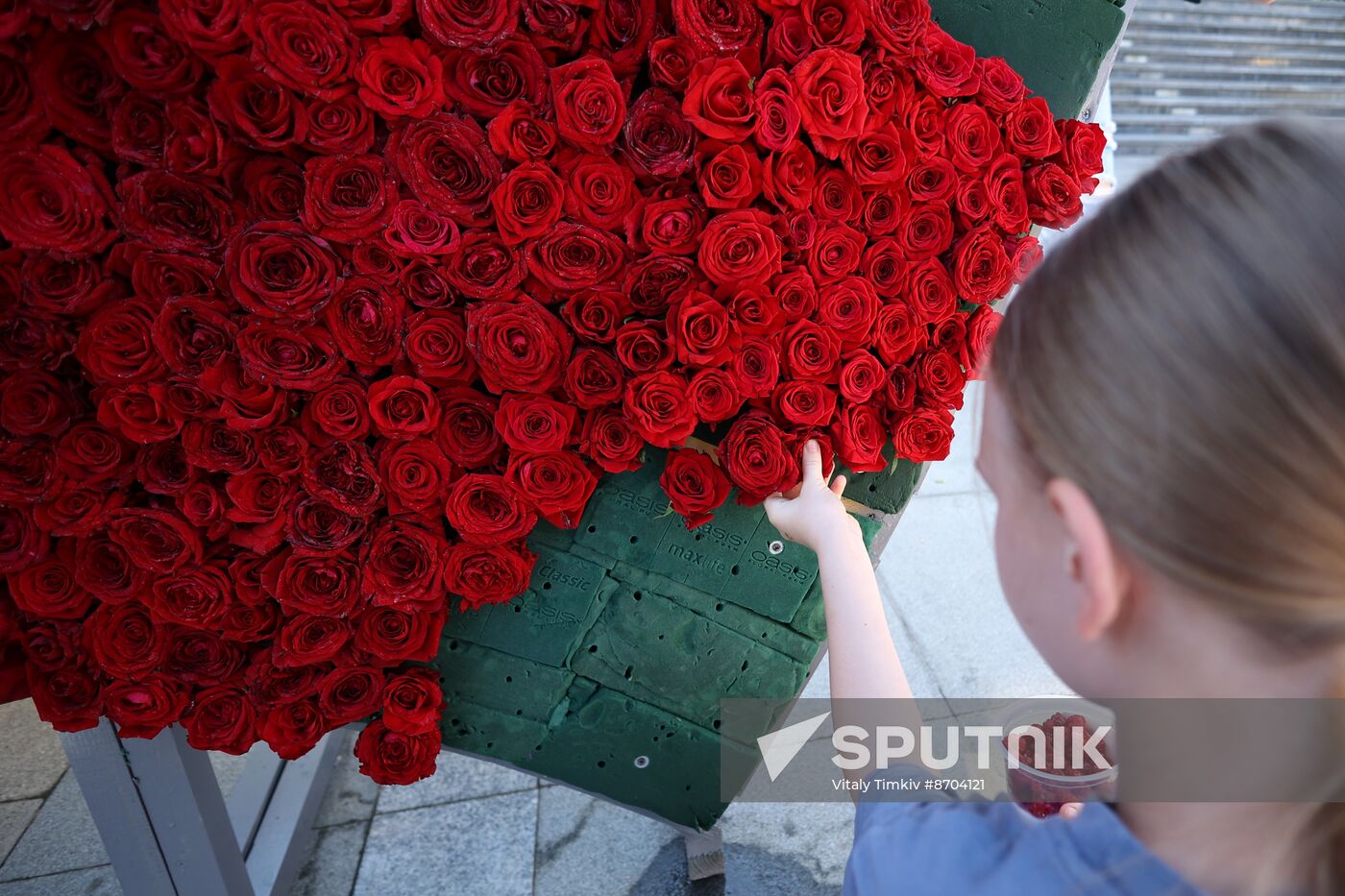 Russia Day Celebrations