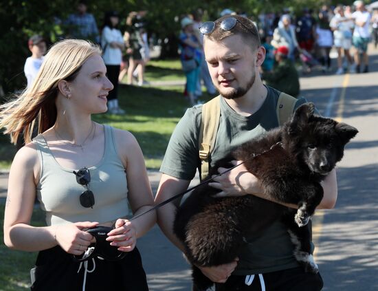 Russia Day Celebrations