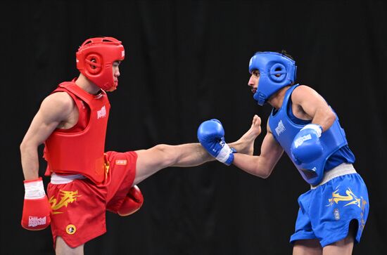 Russia BRICS Sports Games Wushu