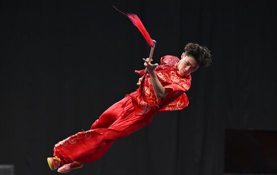 Russia BRICS Sports Games Wushu