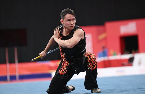 Russia BRICS Sports Games Wushu