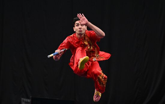 Russia BRICS Sports Games Wushu