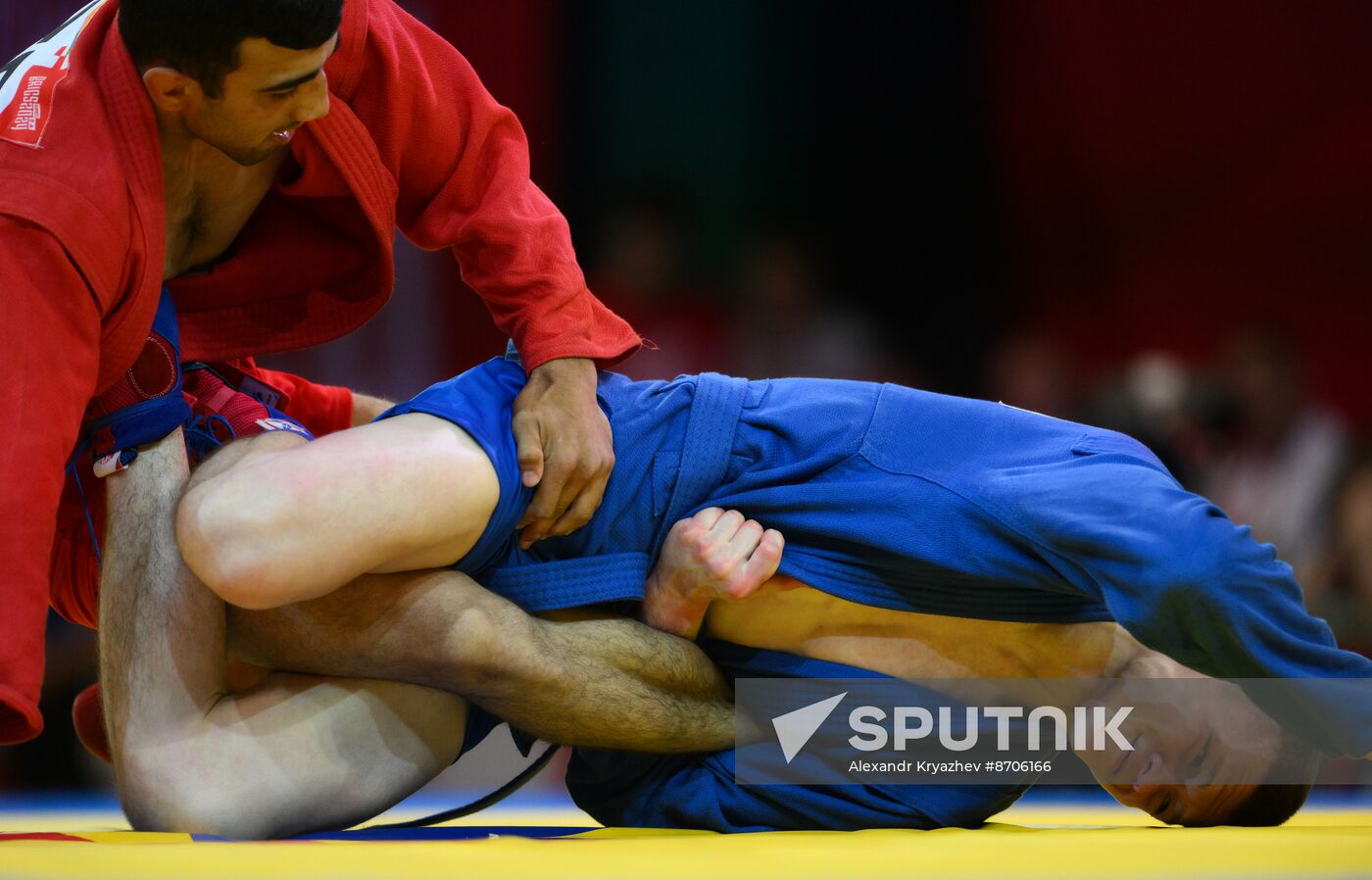 Russia BRICS Sports Games Sambo