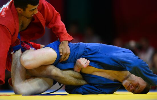 Russia BRICS Sports Games Sambo