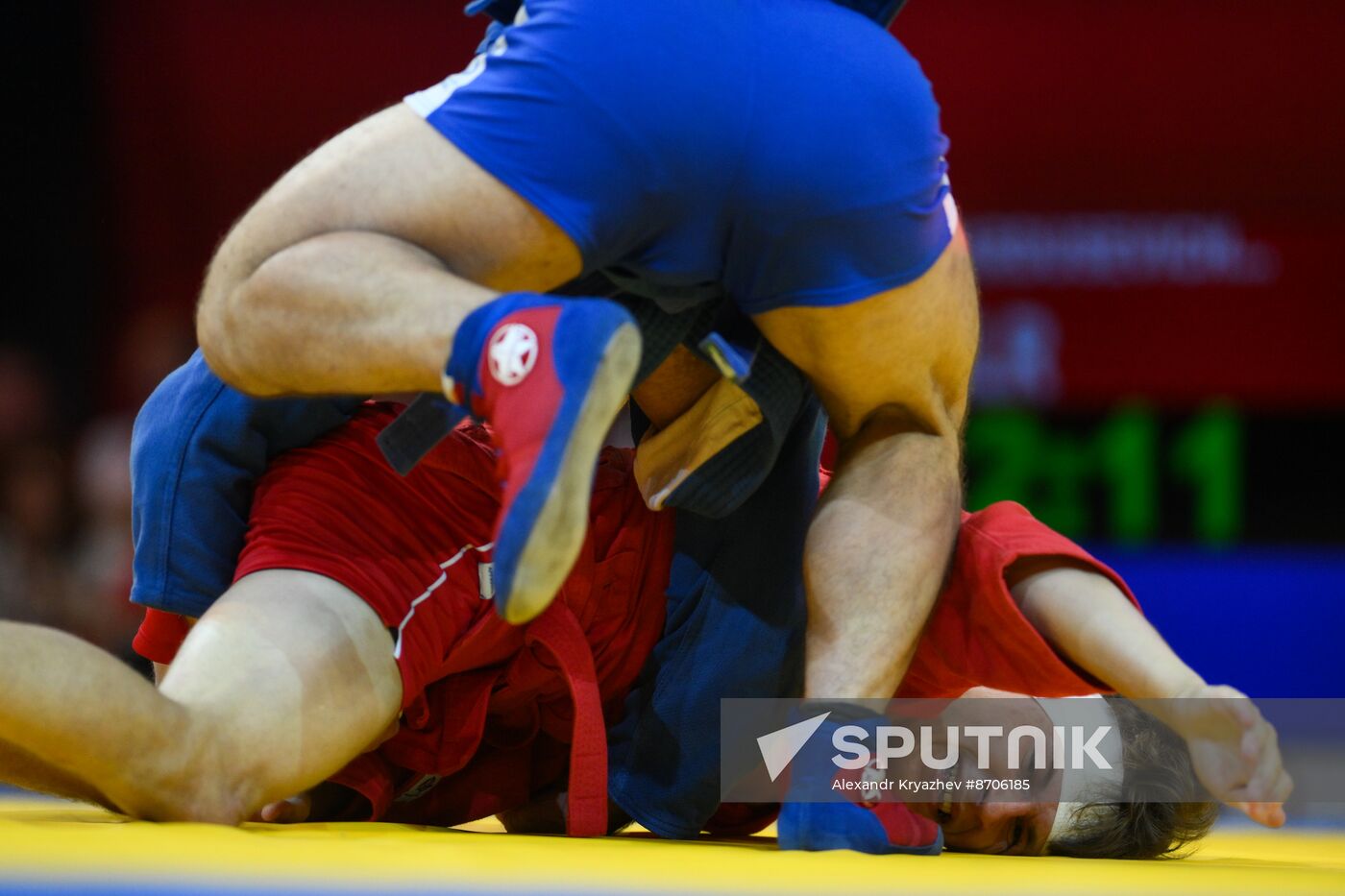 Russia BRICS Sports Games Sambo