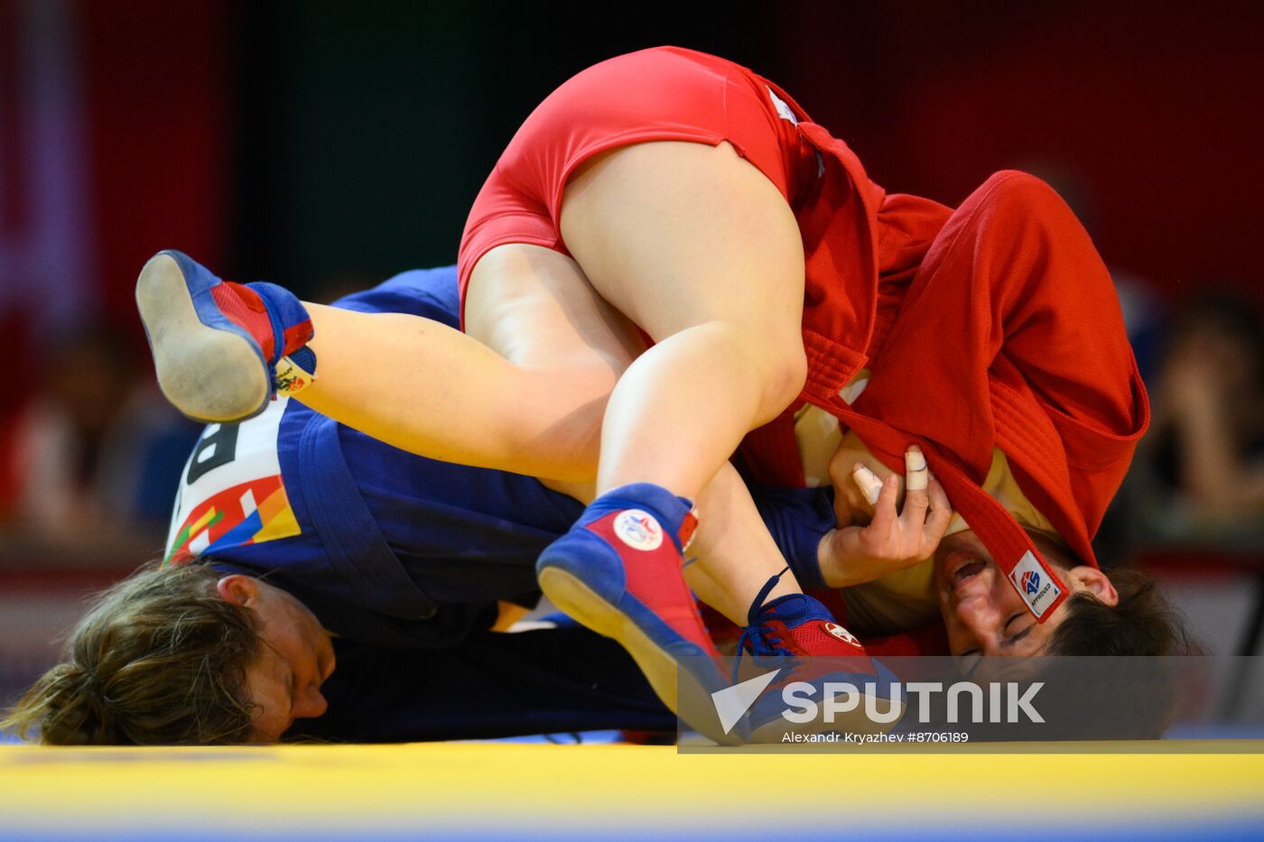 Russia BRICS Sports Games Sambo