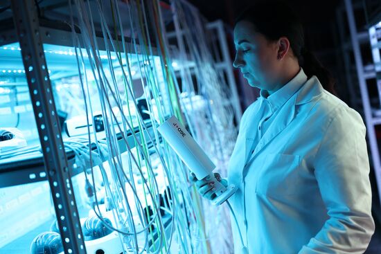 Russia Video Surveillance System Production