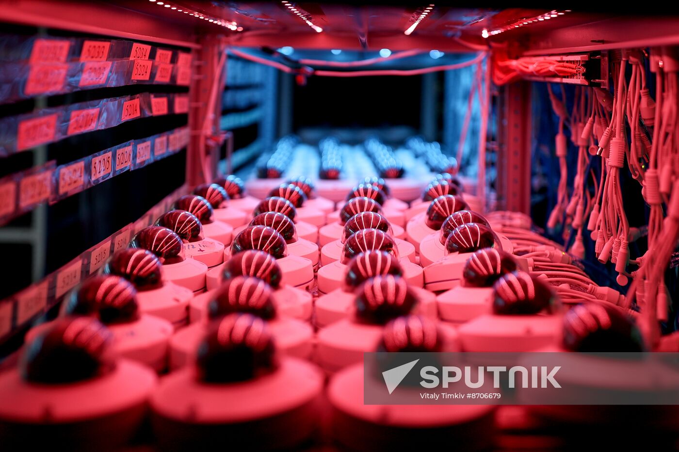 Russia Video Surveillance System Production