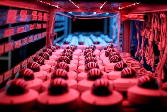 Russia Video Surveillance System Production