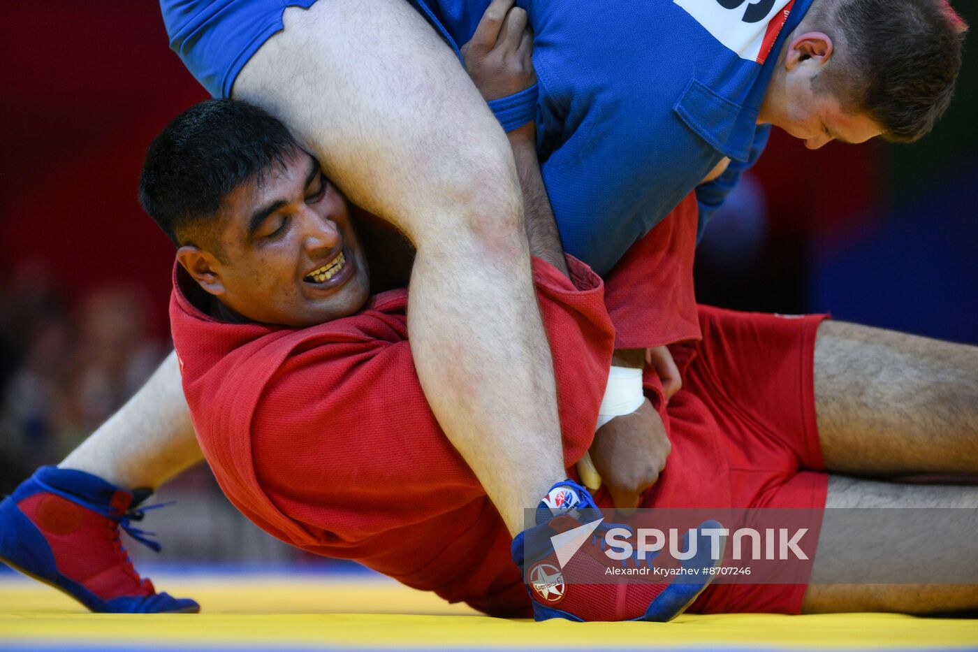 Russia BRICS Sports Games Sambo