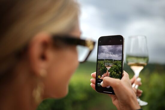 Russia Wine Festival