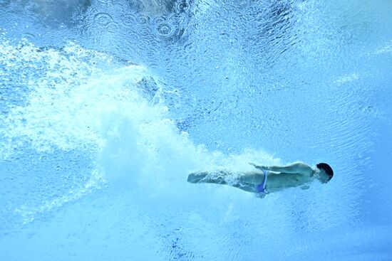 Russia BRICS Sports Games Diving Preliminary Heats