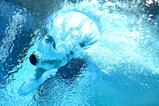 Russia BRICS Sports Games Diving Preliminary Heats