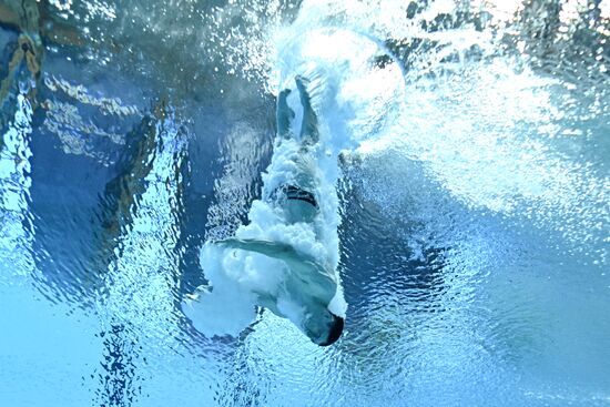 Russia BRICS Sports Games Diving Preliminary Heats