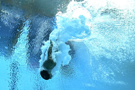 Russia BRICS Sports Games Diving Preliminary Heats