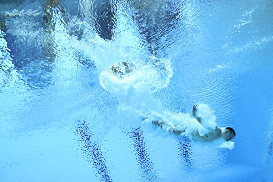 Russia BRICS Sports Games Diving Preliminary Heats