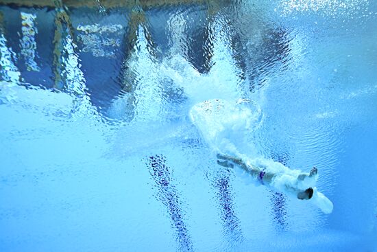 Russia BRICS Sports Games Diving Preliminary Heats