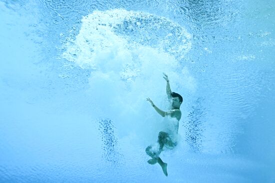 Russia BRICS Sports Games Diving Preliminary Heats