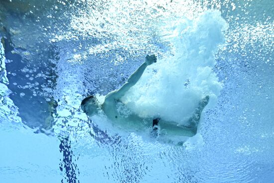 Russia BRICS Sports Games Diving Preliminary Heats