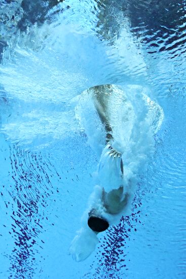 Russia BRICS Sports Games Diving Preliminary Heats