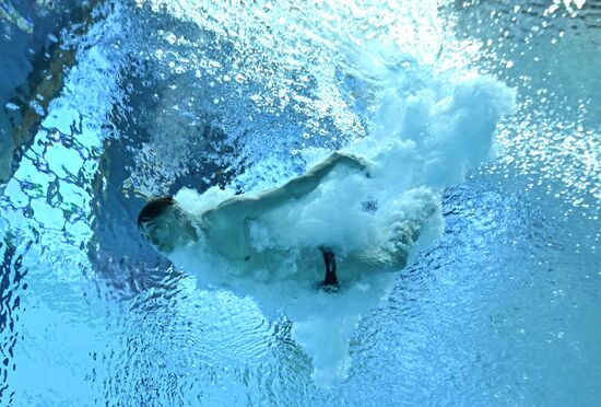 Russia BRICS Sports Games Diving Preliminary Heats