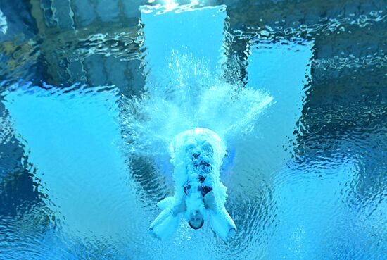 Russia BRICS Sports Games Diving Preliminary Heats