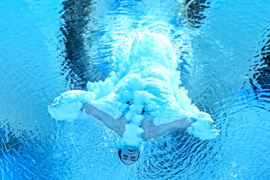 Russia BRICS Sports Games Diving Preliminary Heats